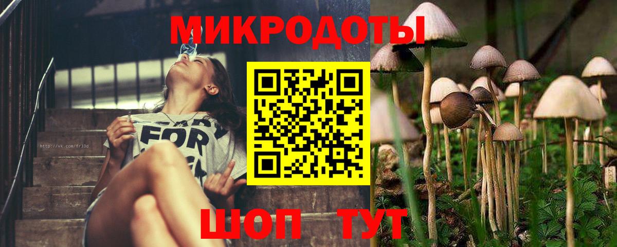 Галлюциногенные грибы Magic Shrooms Зерноград